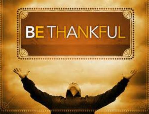 Embracing Thankfulness